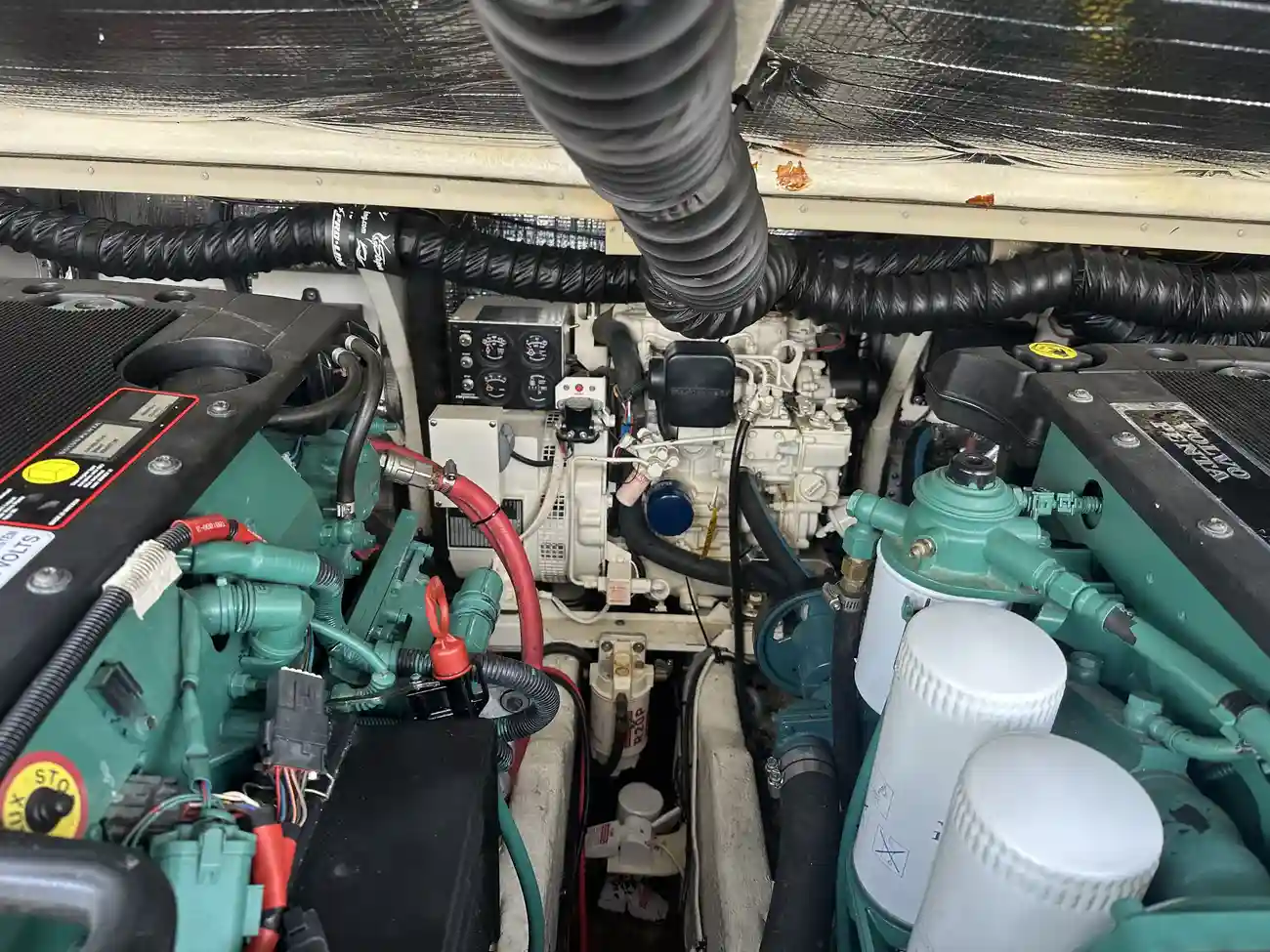 Thumbnail von Carolina Classic 28