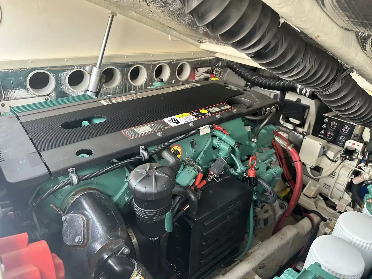 Thumbnail von Carolina Classic 28