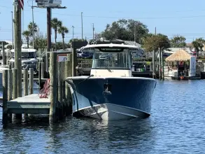 Thumbnail von Grady White Canyon 336