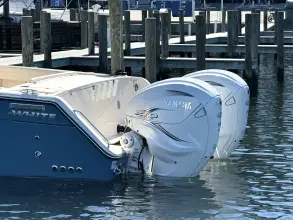 Thumbnail von Grady White Canyon 336