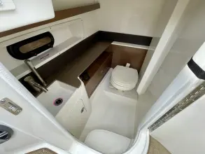 Thumbnail von Sea Ray SDX 290 Außenborder