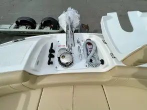 Thumbnail von Sea Ray SDX 290 Außenborder