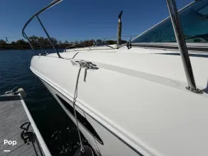 Thumbnail von Sea Ray 350 Sundancer