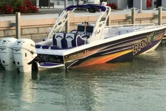 Thumbnail von Konzept 36CC BARNEY