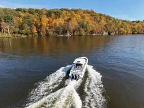 Thumbnail von Boston Whaler 360 Outrage