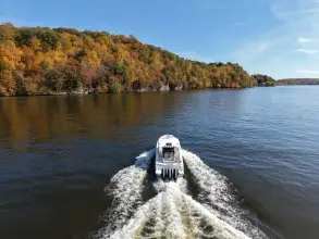 Thumbnail von Boston Whaler 360 Outrage