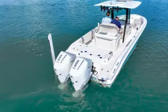Thumbnail von Boston Whaler 280 Dauntless