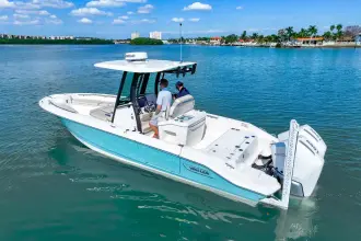 Thumbnail von Boston Whaler 280 Dauntless