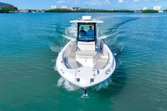 Thumbnail von Boston Whaler 280 Dauntless