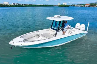 Thumbnail von Boston Whaler 280 Dauntless