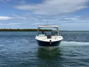 Thumbnail von Sea Ray SLX 310 Outboard