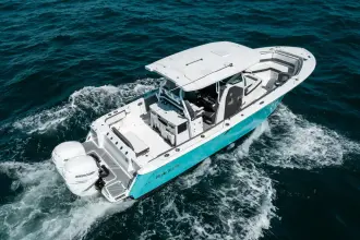 Thumbnail von Blackfin 332 CC