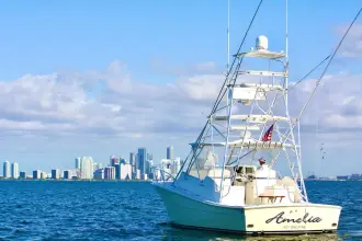 Thumbnail von Topaz Express Cruiser Amelia