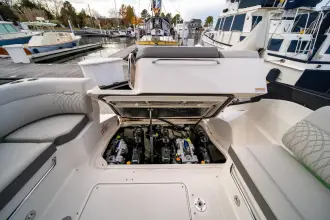 Thumbnail von Sea Ray 370 Sundancer Nauti Tiger