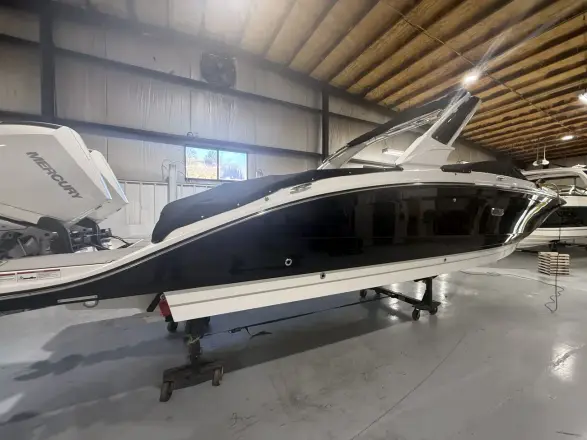 Sea Ray SDX 290 Fuoribordo