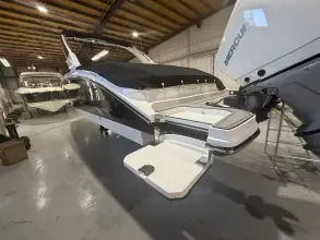 Thumbnail von Sea Ray SDX 290 Outboard