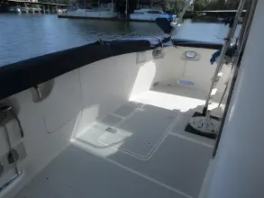 Thumbnail von Delta Solo 43 Pilothouse