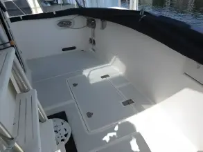 Thumbnail von Delta Solo 43 Pilothouse
