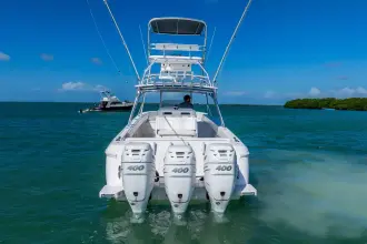 Thumbnail von Odważny 400 Cuddy