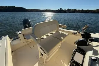 Thumbnail von Scout 240 XSF