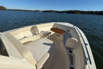 Thumbnail von Scout 240 XSF