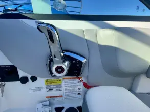 Thumbnail von Sea Ray SDX 250 Außenborder