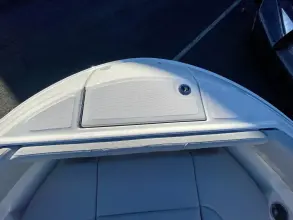 Thumbnail von Sea Ray SDX 250 Außenborder
