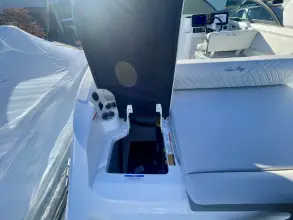 Thumbnail von Sea Ray SDX 250 Außenborder