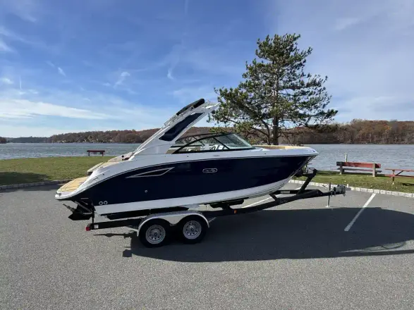Sea Ray SDX 230