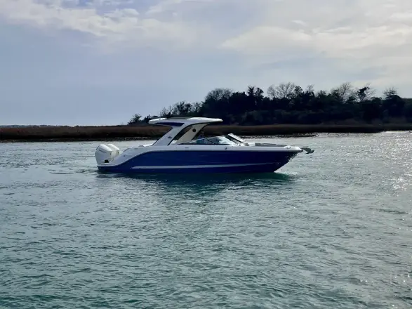 Sea Ray SLX 310 Hors-bord