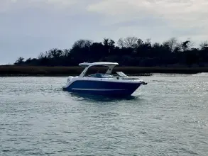 Thumbnail von Sea Ray SLX 310 Hors-bord