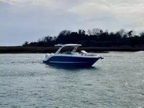 Thumbnail von Sea Ray SLX 310 Hors-bord