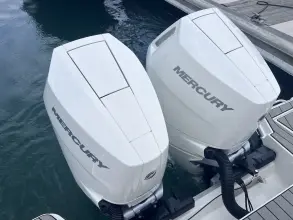 Thumbnail von Sea Ray SLX 310 Hors-bord