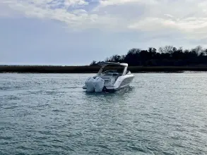 Thumbnail von Sea Ray SLX 310 Hors-bord