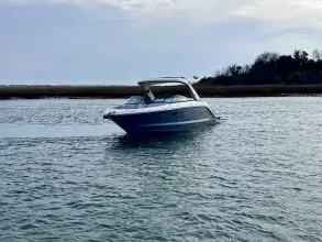 Thumbnail von Sea Ray SLX 310 Hors-bord