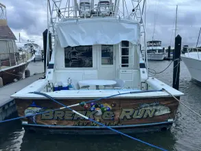 Thumbnail von Bertram 46