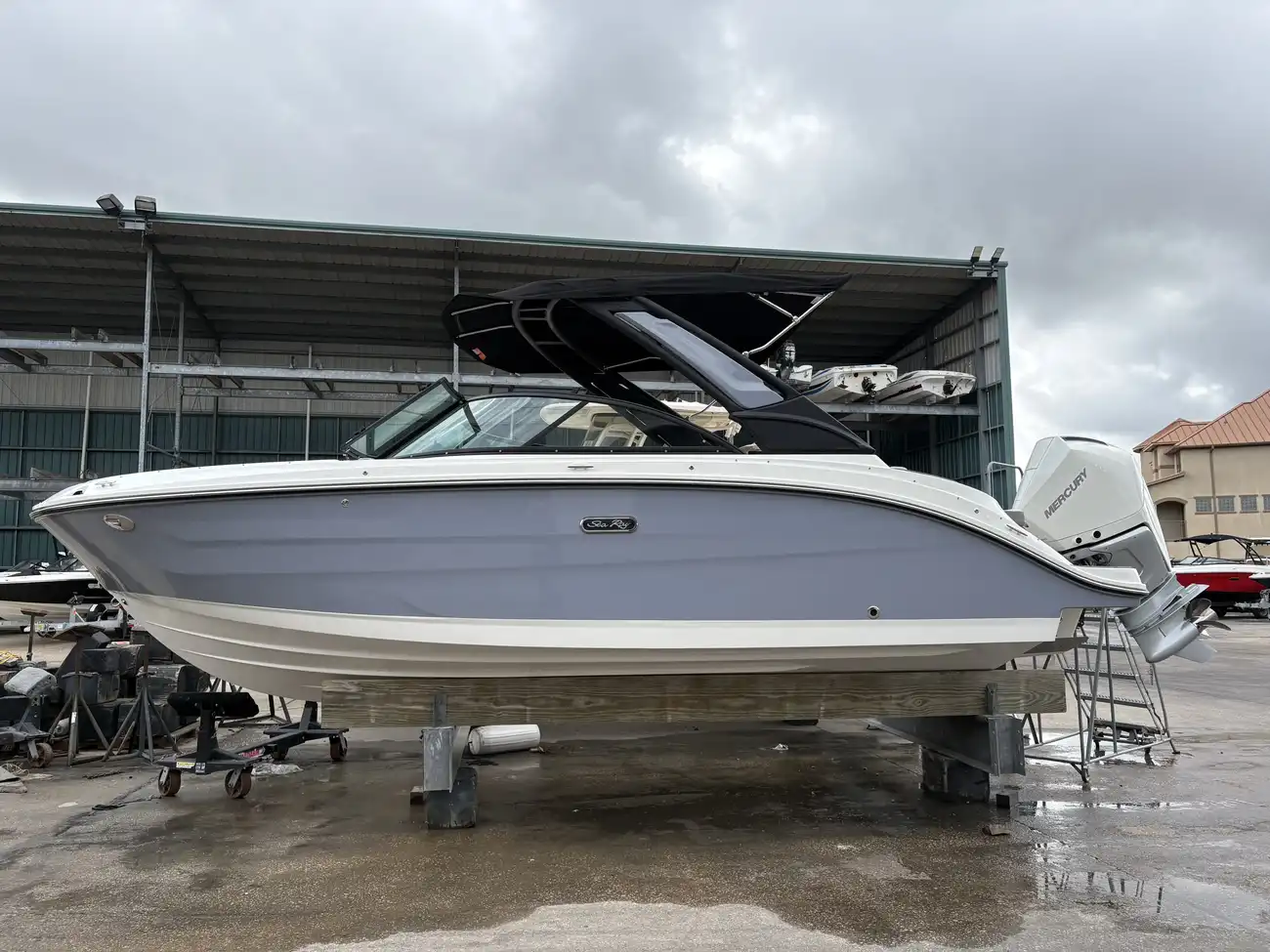 Sea Ray SDX 250 buitenboordmotor