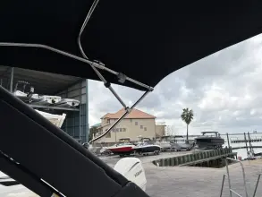 Thumbnail von Sea Ray SDX 250 buitenboordmotor