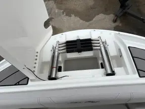 Thumbnail von Sea Ray SDX 250 buitenboordmotor