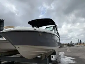 Thumbnail von Sea Ray SDX 250 buitenboordmotor