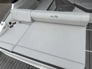 Thumbnail von Sea Ray SDX 250 buitenboordmotor