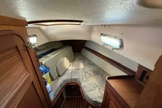 Thumbnail von Island Packet 37 Sugaree