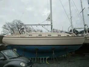 Thumbnail von アイランドパケット 350 クエイ