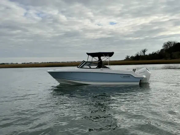 Boston Whaler 210 Vantage