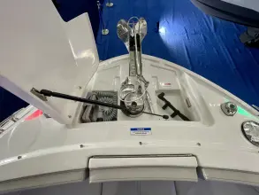 Thumbnail von Sea Ray SLX 310 Außenborder