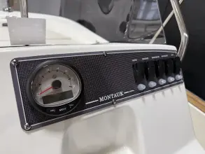 Thumbnail von Boston Whaler 170 Montauk