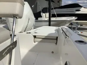 Thumbnail von Boston Whaler 220 Dauntless