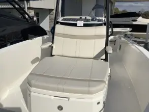 Thumbnail von Boston Whaler 220 Dauntless