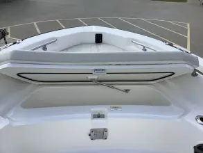 Thumbnail von Boston Whaler 220 Dauntless