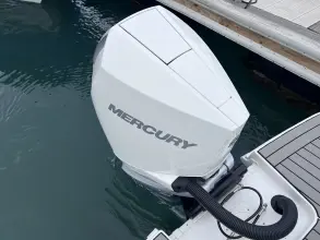 Thumbnail von Sea Ray SDX 250 Outboard